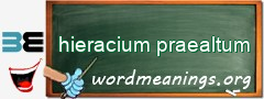 WordMeaning blackboard for hieracium praealtum